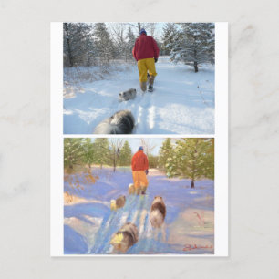 Caminar en la postal forestal