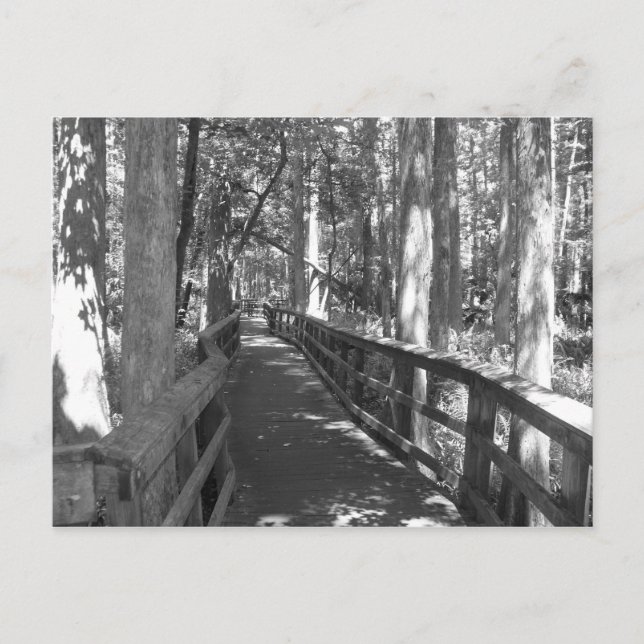 Caminar para recordar la postal (Anverso)