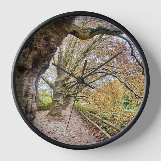 Caminar por el Reloj del Parque (Anverso)