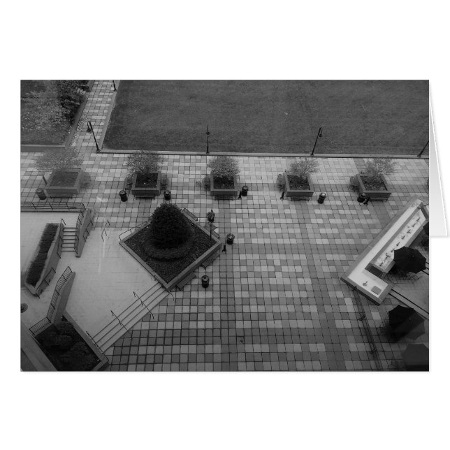 Caminata abandonada / Noir (Anverso (Horizontal))