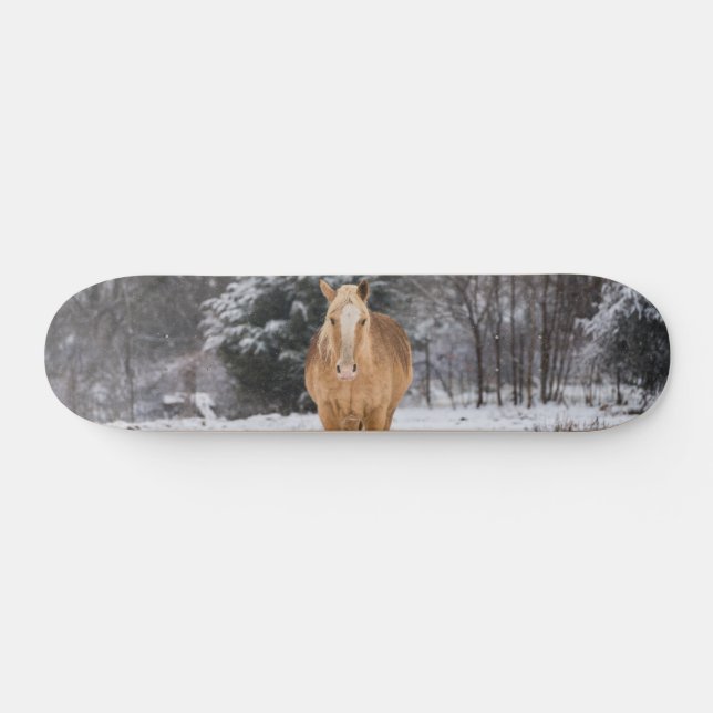 Caminata De Caballos Rubios En El Skateboard De La (Horz)