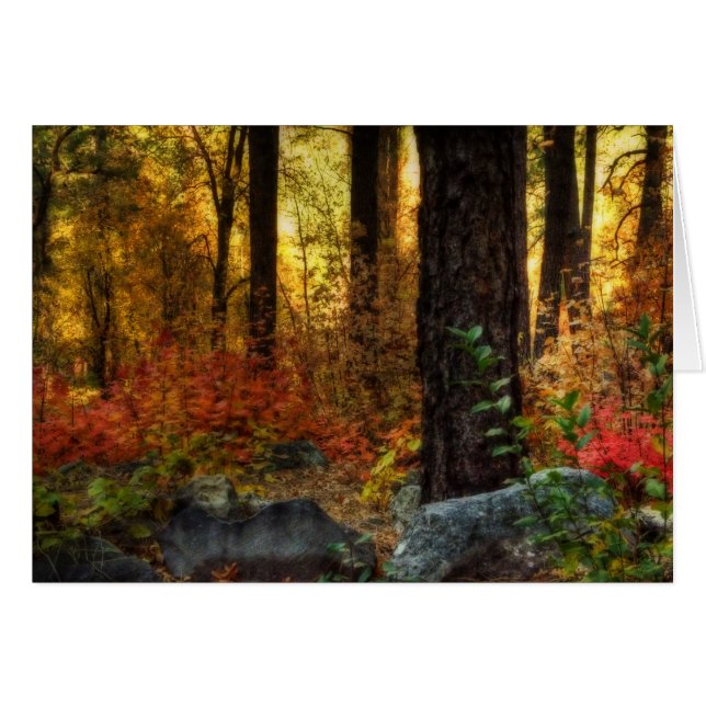 Caminata matutina (Anverso (Horizontal))