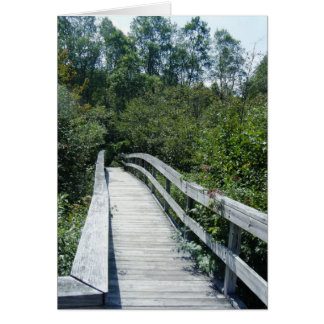 "Caminata, Selva Nacional de Montaña Verde"