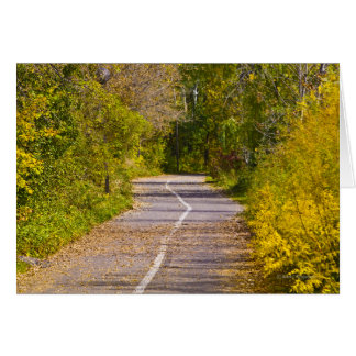 Camino
