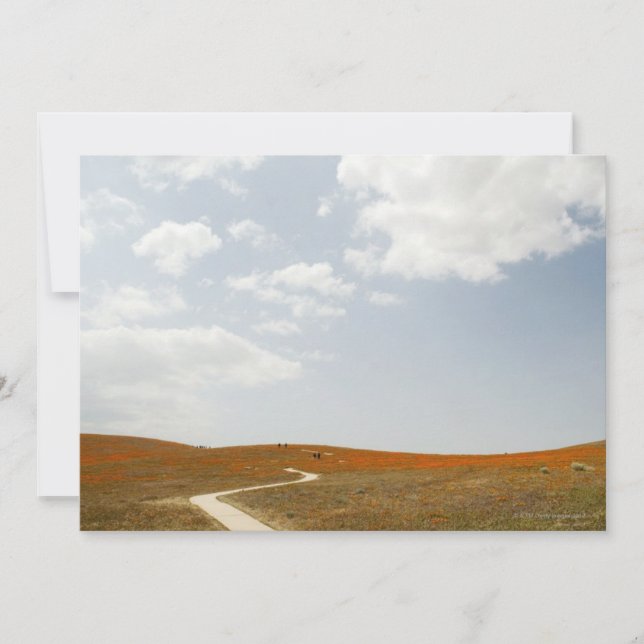 Camino (Anverso)