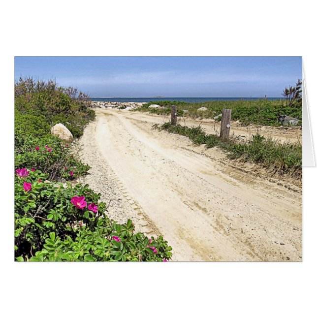 Camino a la playa de Plymouth (Anverso (Horizontal))