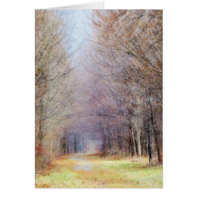 Camino a la primavera (Frente)