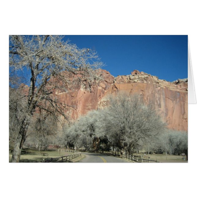 Camino a los jardines (Anverso (Horizontal))