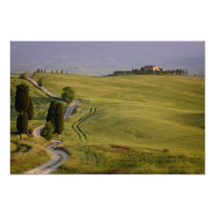Camino a Terrapille en la impresión de la foto de