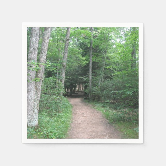 Camino a través de la servilleta de papel forestal (Anverso)