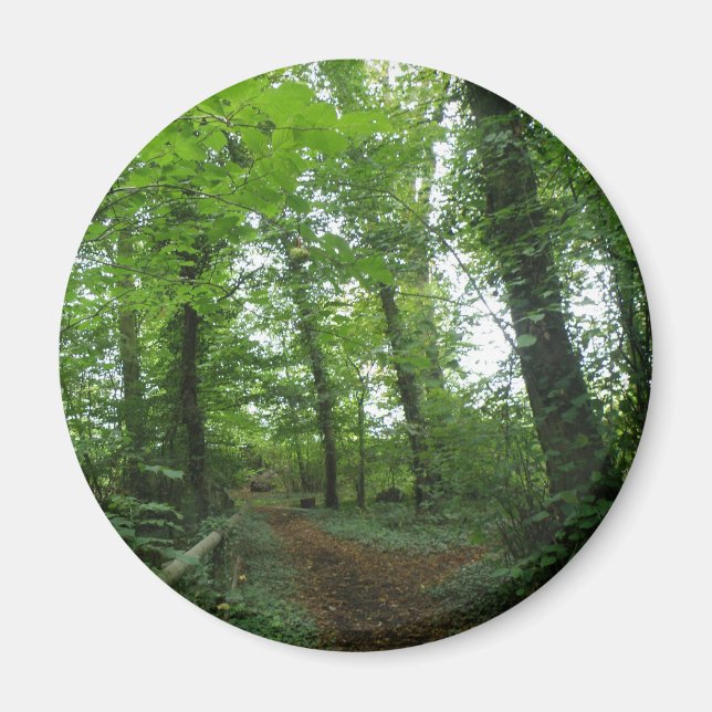 Camino a través del imán de los bosques verdes (Frente)