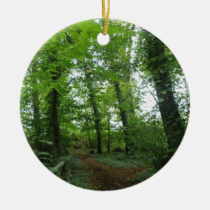 Camino a través del ornamento del bosque verde