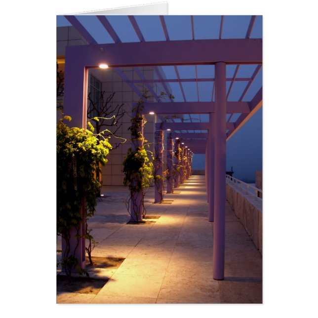 Camino al atardecer (Frente)