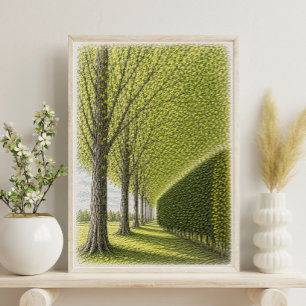 Camino Arbolado Arte de Paisaje Botánico