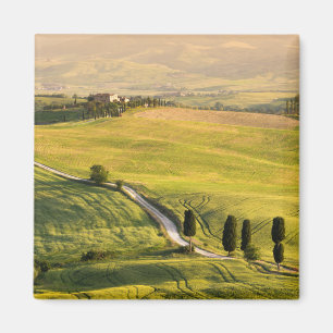 Camino blanco en imán del paisaje de Toscana