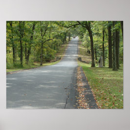 Camino campestre a través de los árboles Muro arte