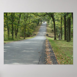 Camino campestre a través de los árboles Muro arte