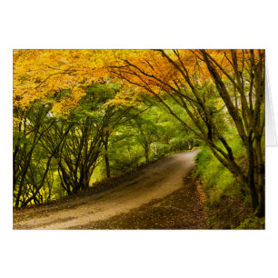 Camino campestre en otoño