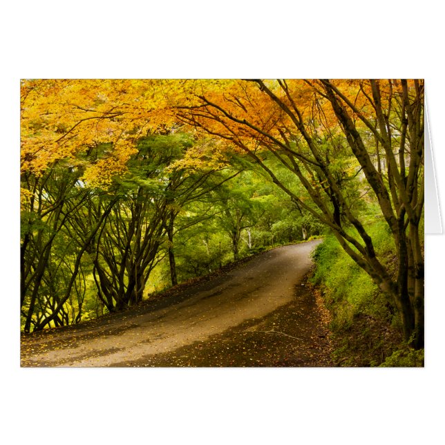 Camino campestre en otoño (Anverso (Horizontal))