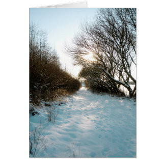 Camino campestre inglés cubierto de nieve en invie