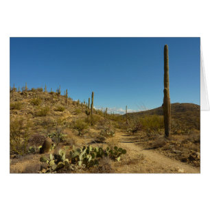Camino carillo de Saguaro en el Parque Nacional de