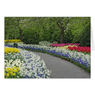 Camino de acera a través de tulipanes y narcisos,