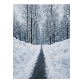 Camino de bosque invernal brumoso Póster de paisaj