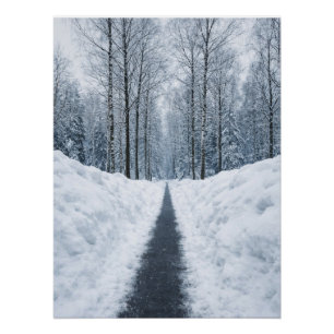 Camino de bosque invernal brumoso Póster de paisaj