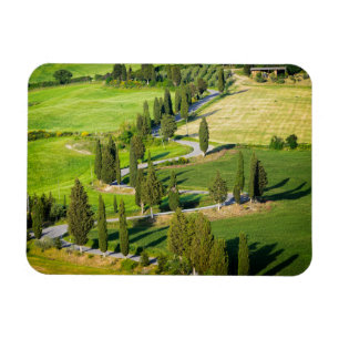 Camino de ciclomotor en el imán rectangular de la