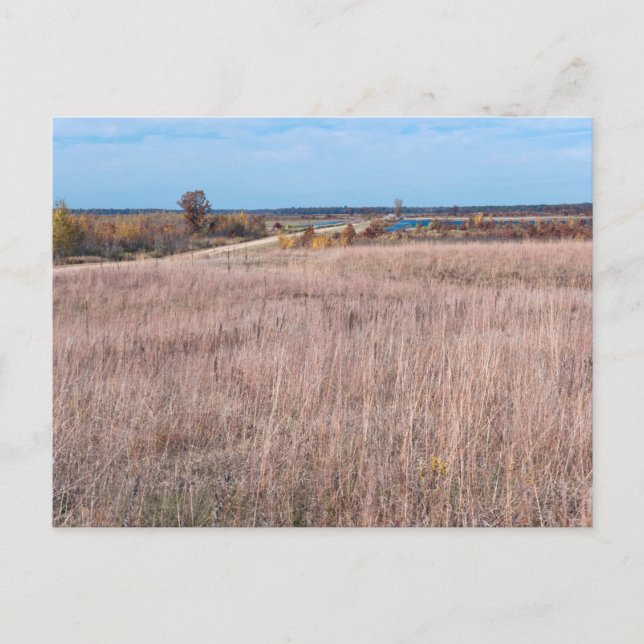 camino de la pradera en la tarjeta postal del refu (Anverso)