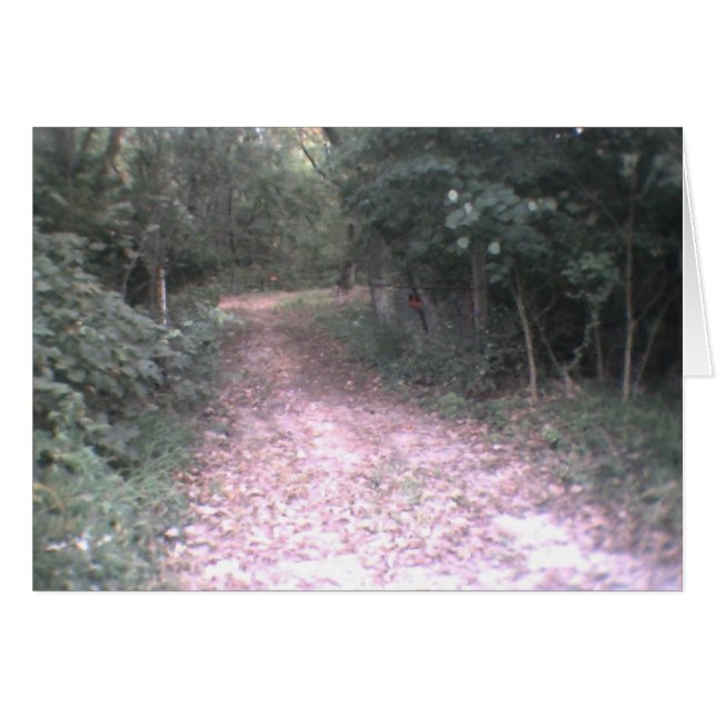 camino de la vida (Anverso (Horizontal))