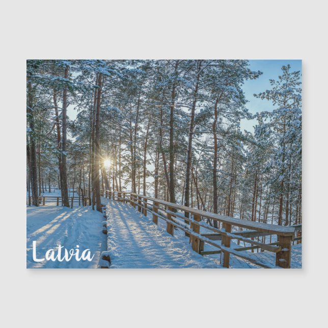 Camino de madera a través de un bosque de invierno (Anverso)