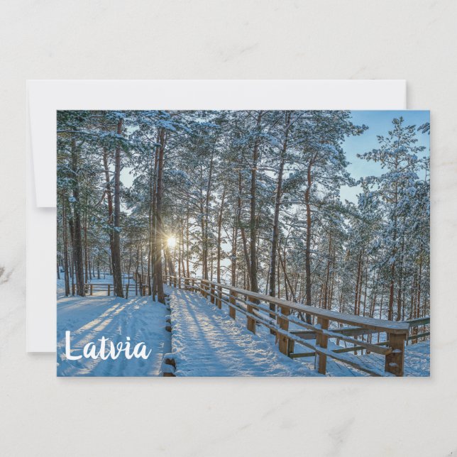 Camino de madera a través de un bosque de invierno (Anverso)