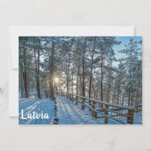 Camino de madera a través de un bosque de invierno