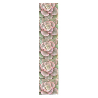 Camino De Mesa Corto Echeveria Cactus Suculento Pintura Acrílica