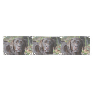 Camino De Mesa Corto Labrador retriever adorable del chocolate