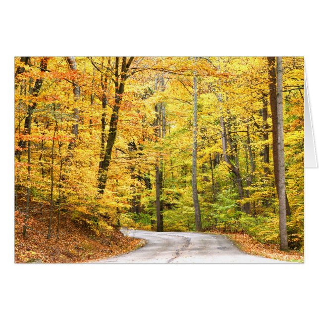 Camino de otoño (Anverso (Horizontal))