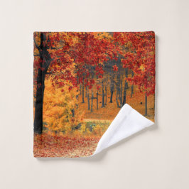 Camino de otoño