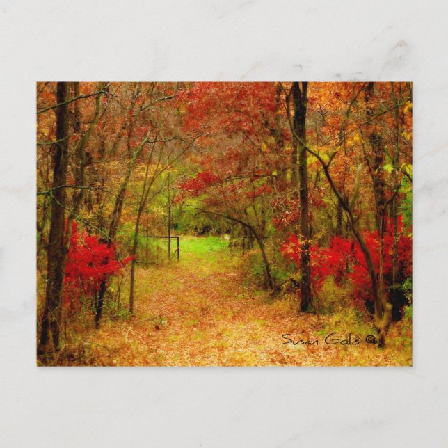 Camino de Otoño en la postal de Acción de Gracias  (Anverso)