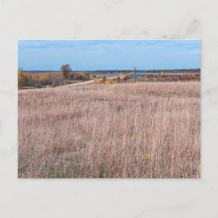 camino de prairie en la postal de refugio necedah