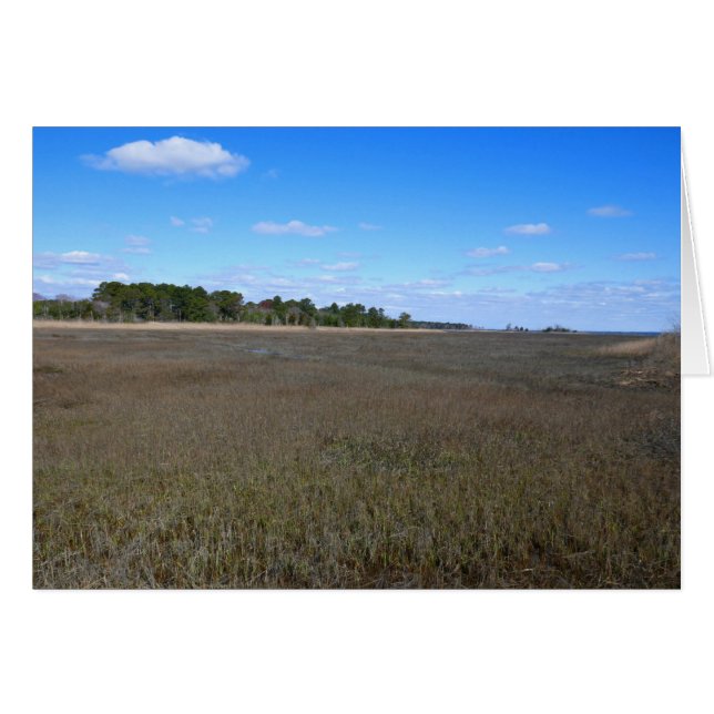 Camino de preservación de la naturaleza de la isla (Anverso (Horizontal))
