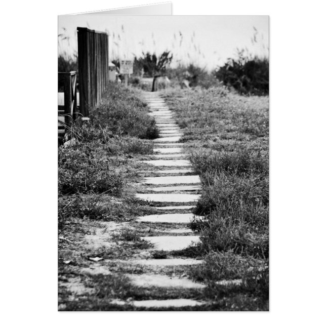 Camino de rock por la colina en blanco y negro (Frente)