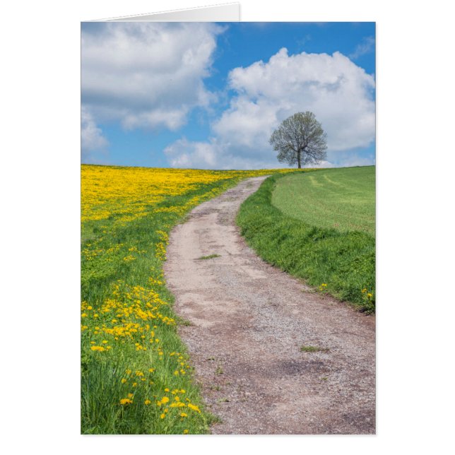 Camino de tierra y árbol (Frente)