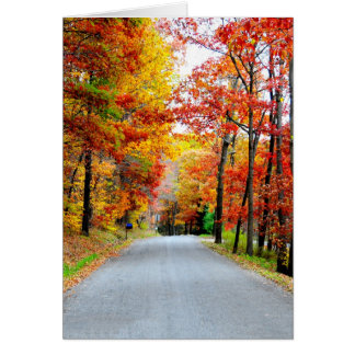 Camino del campo de otoño