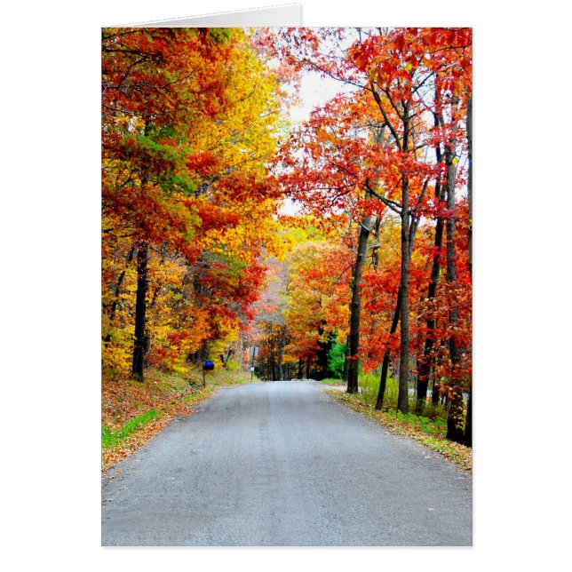 Camino del campo de otoño (Frente)