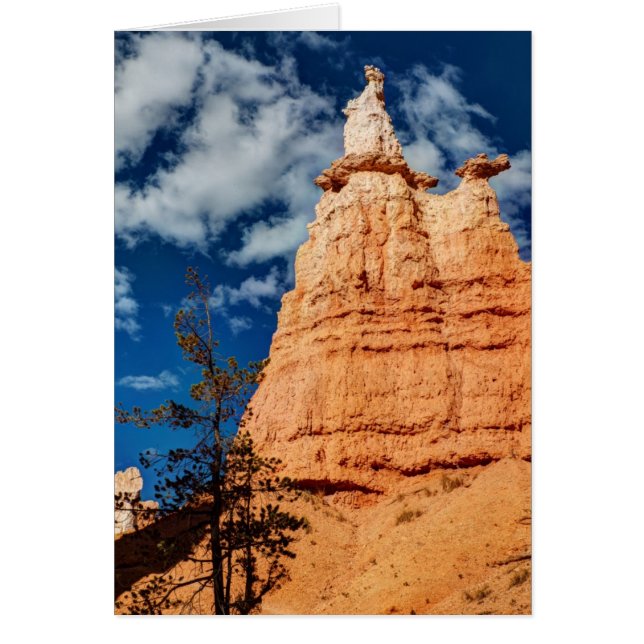 Camino del Jardín de la Reina Victoria (Frente)