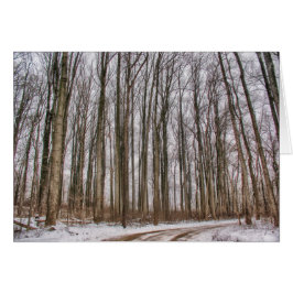 Camino del país hacia el bosque de nieve