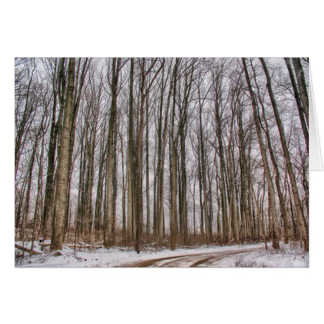 Camino del país hacia el bosque de nieve (Anverso (Horizontal))