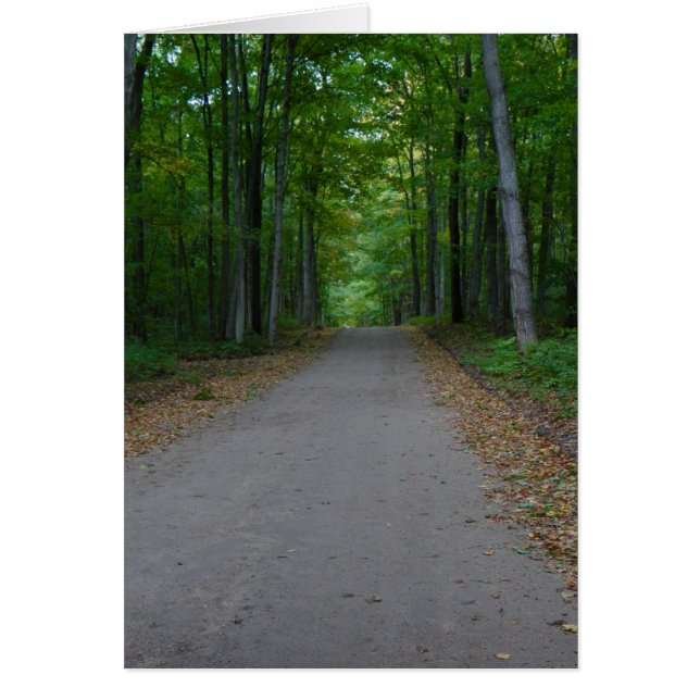 Camino en el bosque. (Frente)
