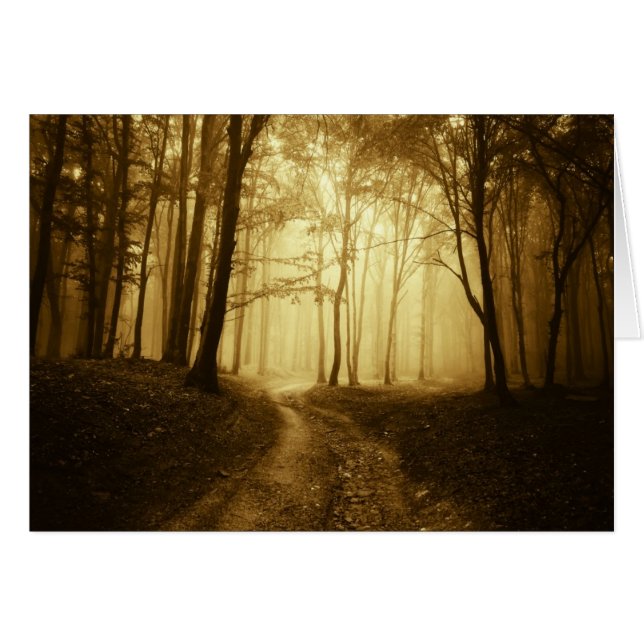 Camino en un bosque oscuro con niebla (Anverso (Horizontal))